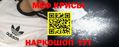 СК Кингисепп