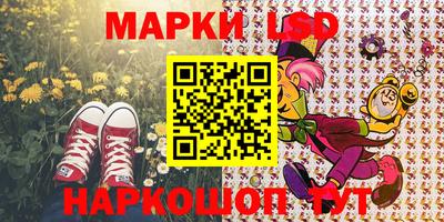 СК Кингисепп