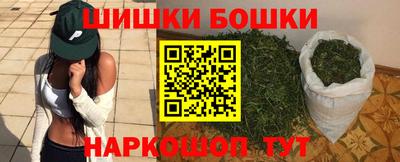 СК Кингисепп