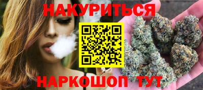 СК Кингисепп